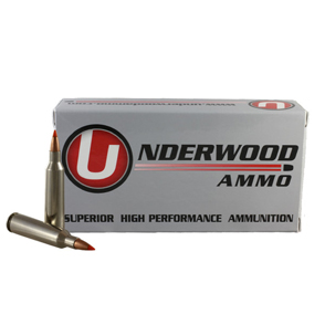 22-250 varmint ballistic tip box